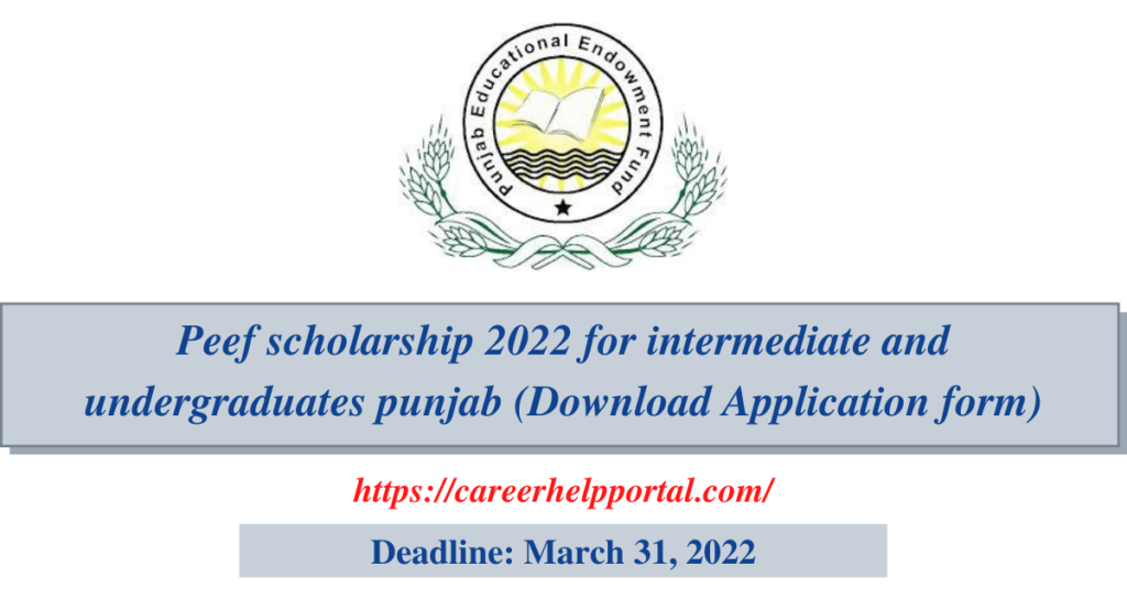 Peef scholarship 2022 for intermediate and undergraduates punjab (Download Application form)